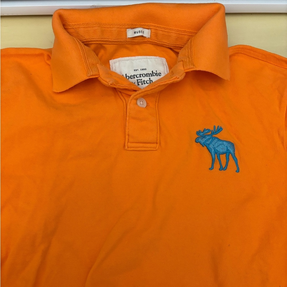 Abercrombie and Fitch Polo